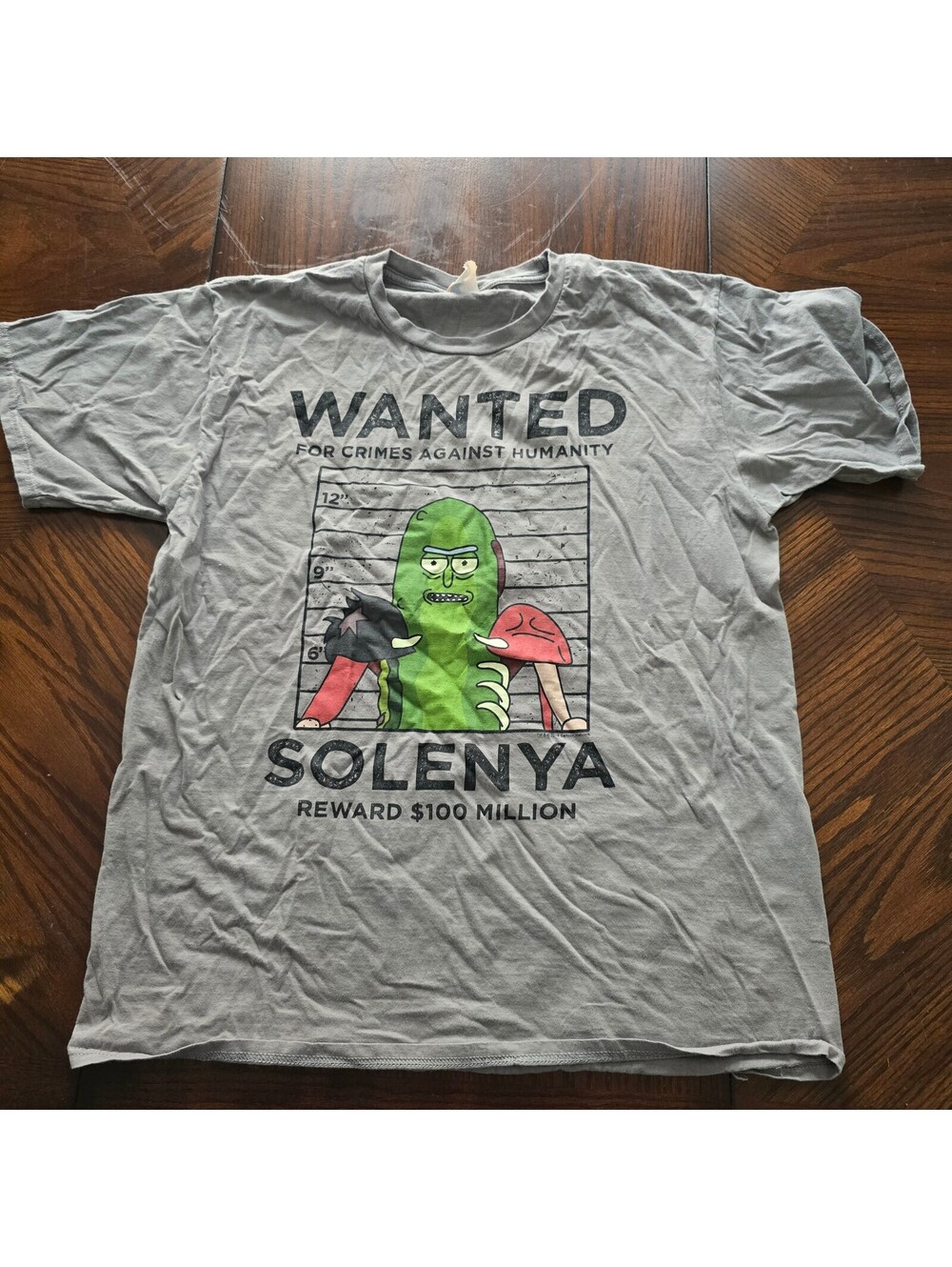 Rick and Morty Solenya wanted graphic T shirt Port and Company size L